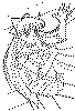 ven09.gif (32759 octets)